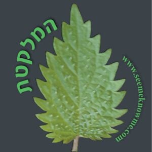 default-logo
